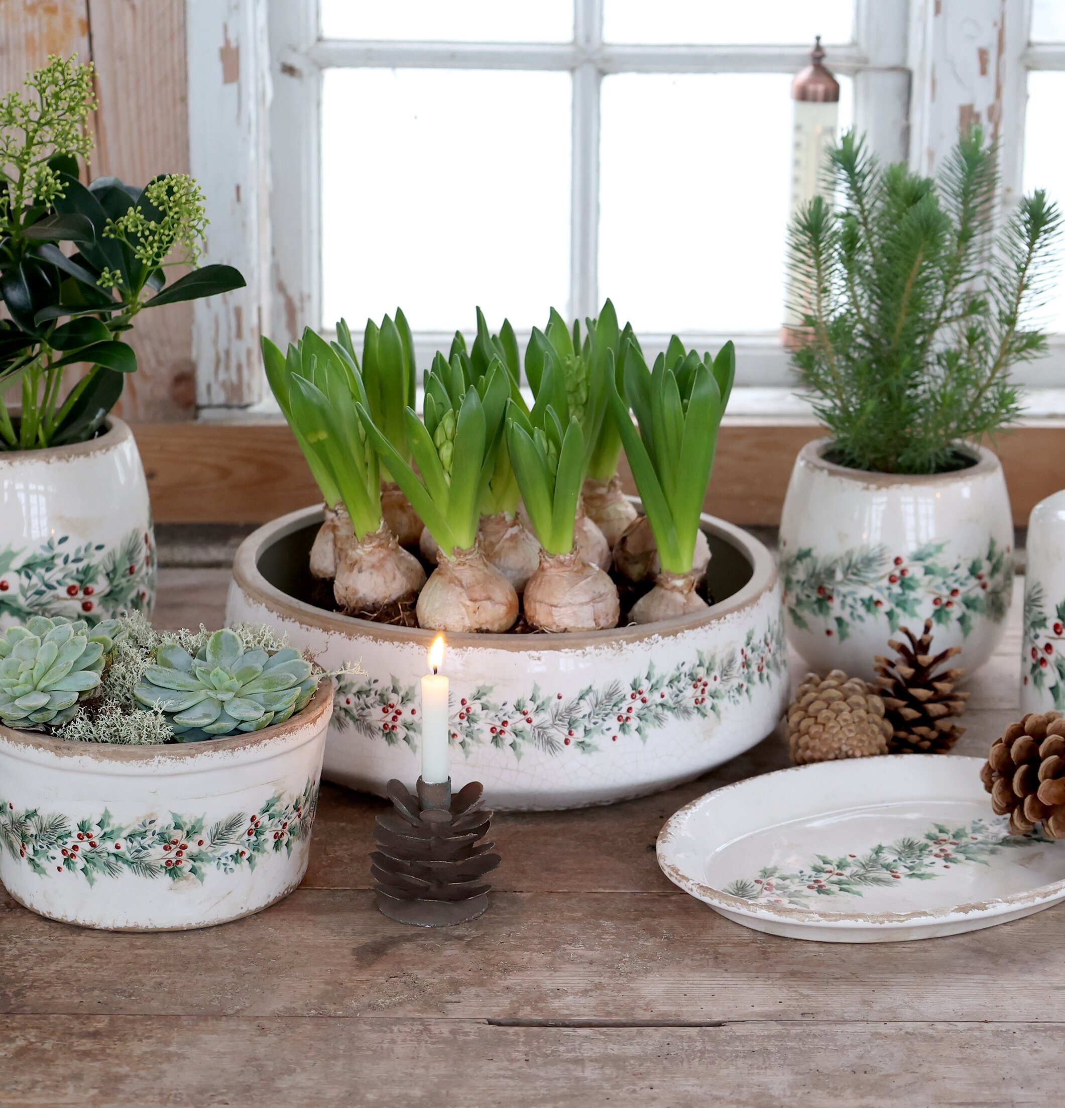 Ovalt Fat Järnek Creme 25 cm Chic Antique för ljus, lyktor, växter och krukor