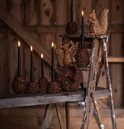 Ljusstake Tallkotte Multi Skål A Lot Decoration Ljusstakar Adventsstakar Ljushållare Ljushyllor Skålar att äta ur tilltugg