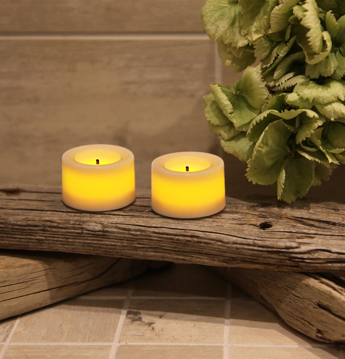 Bild av LED-ljus på drivved med växt i harmonisk miljö