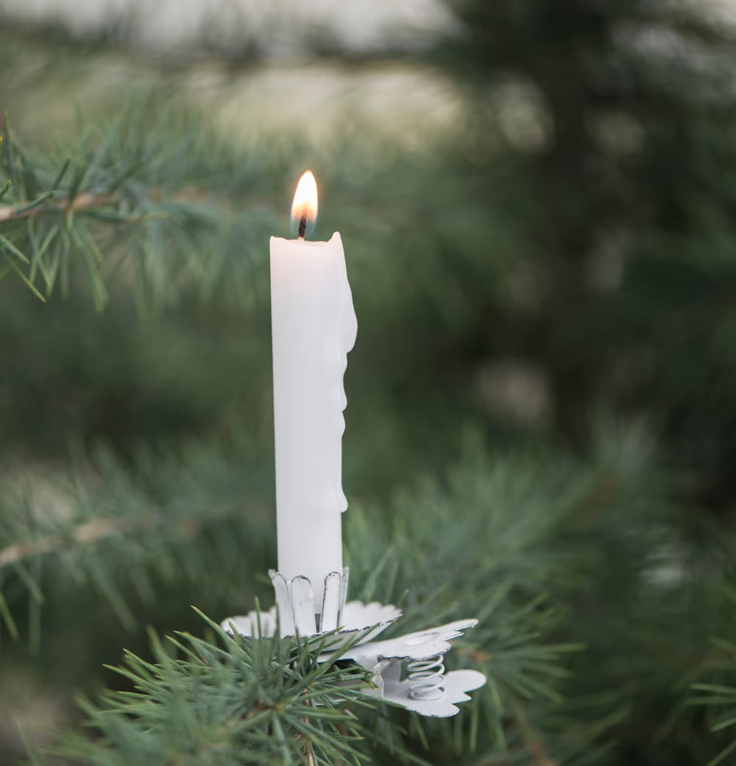 Ljusclips Vit från IB Laursen på en grön gran med tänd ljus